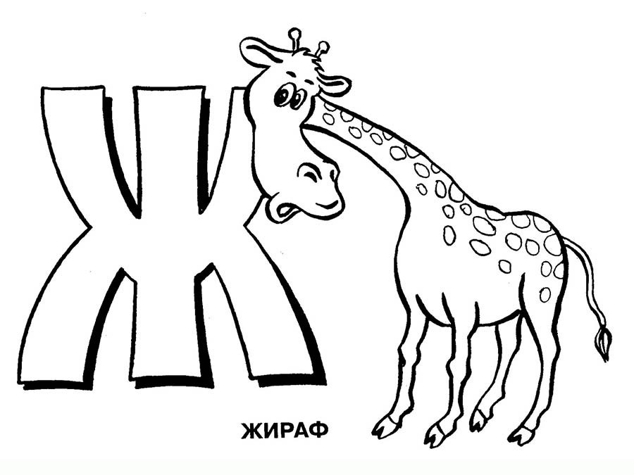 Розмальовка на букву Ж - жираф