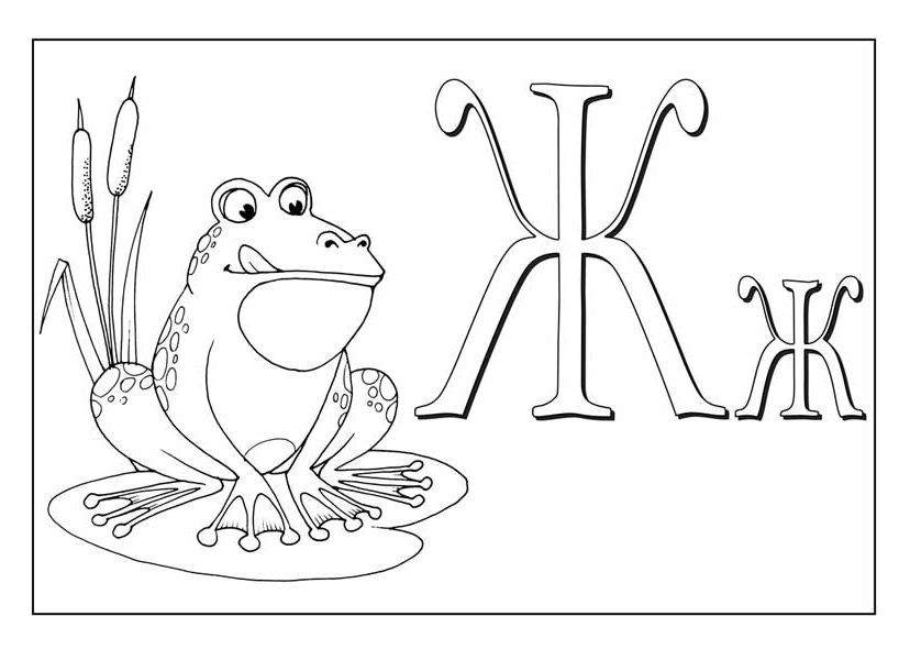 Розмальовка на букву Ж - жаба
